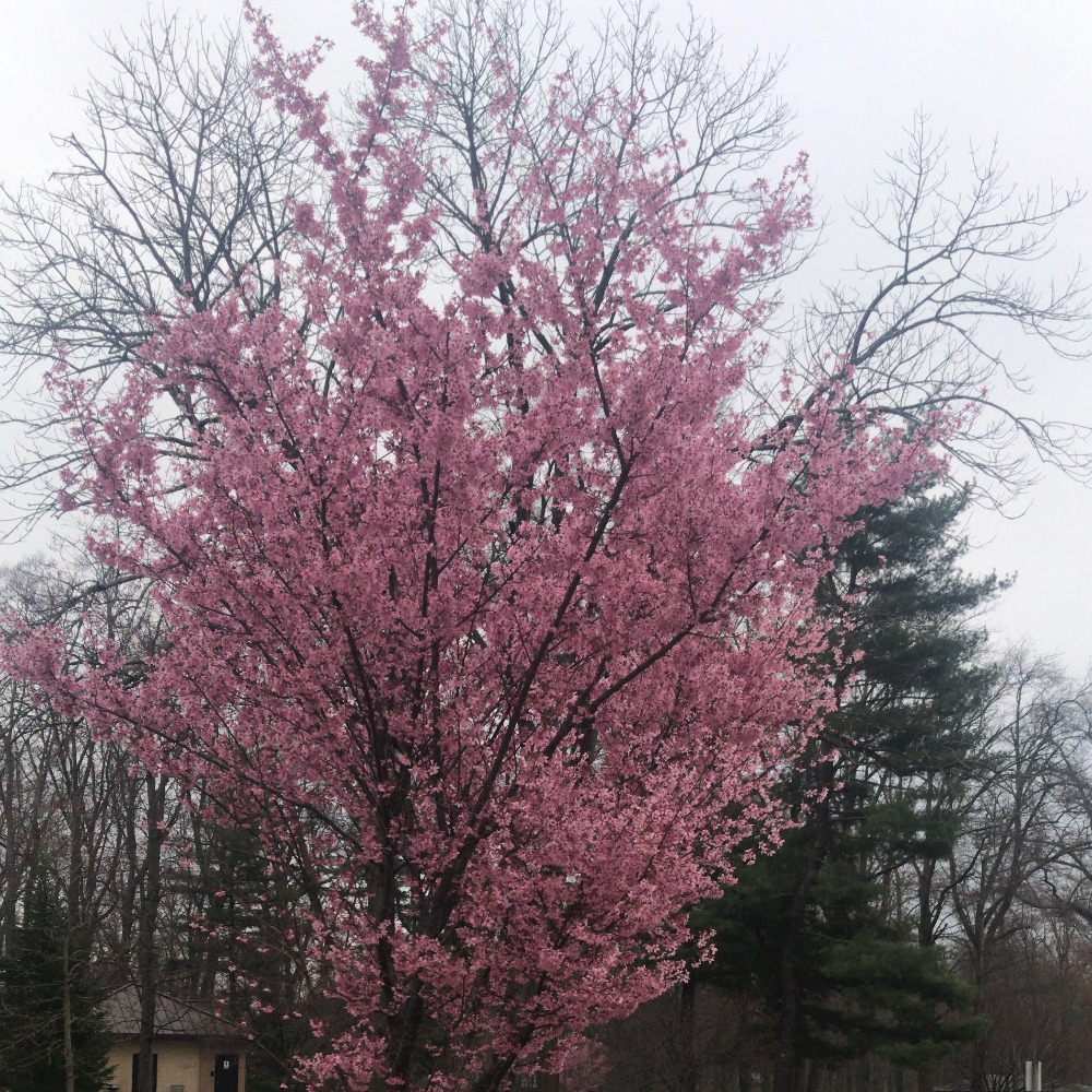 Meet your Posher, Sujata